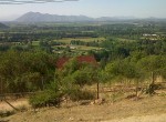 IMG00113-20130106-1735