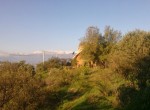 WP_000533